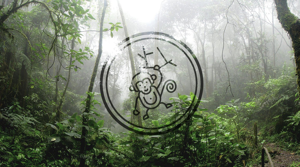 Tutto per una scimmia | FK'NG LEGEND