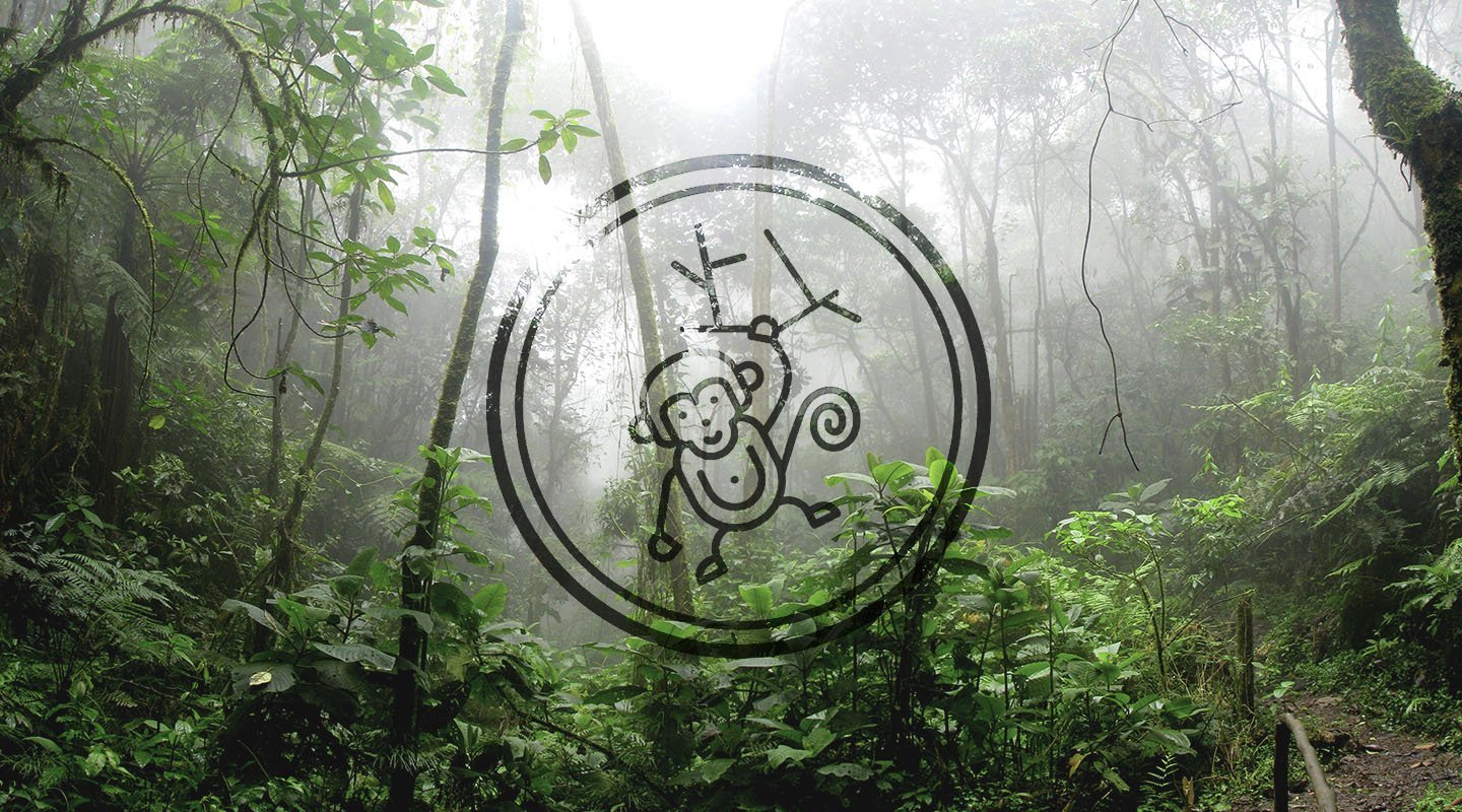 Tutto per una scimmia | FK'NG LEGEND